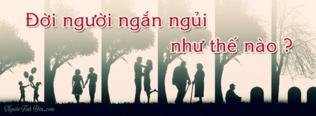 Doi-nguoi-ngan-ngui-nhu-the-nao
